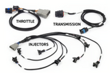 NEXUS Rebel LS + Transmission Interface Bundle